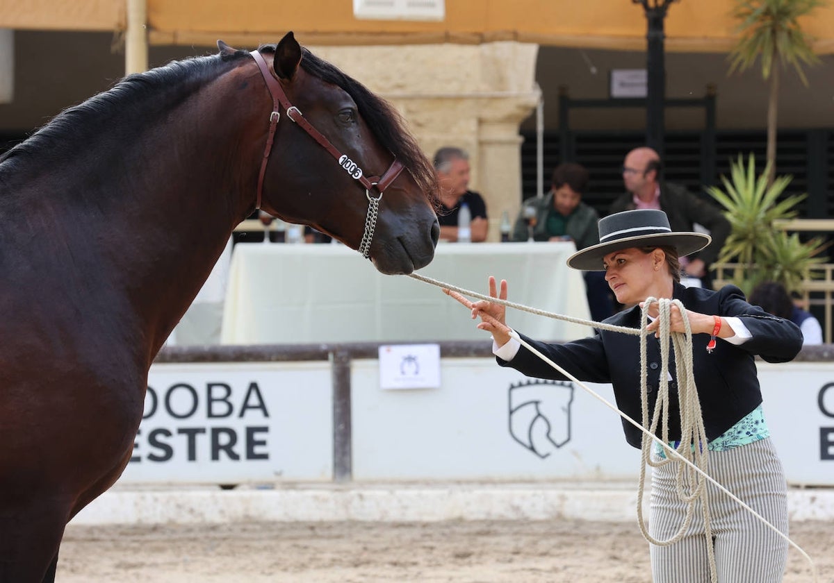 Un caballo junto a su presentadora durante el Concurso Morfológico de Cabalcor