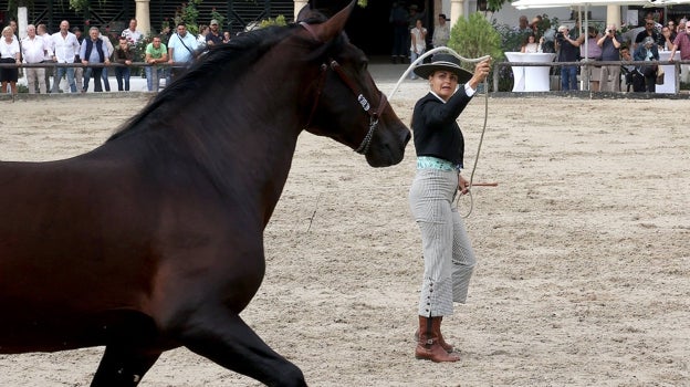 La presentadora conduce a uno de los caballos durante el certamen