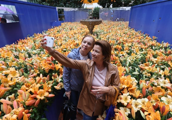 Festival Flora de Córdoba 2023: cuándo es, artistas concursantes, sedes y programación