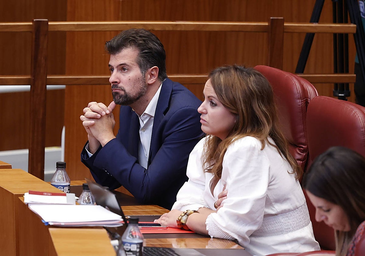 Luis Tudanca y Patricia Gómez, durante el pleno de las Cortes