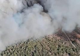 Un incendio forestal en Tarragona obliga a cortar dos carreteras