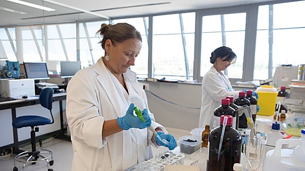 Dos técnicas de laboratorio, ayer, en el IML de Madrid