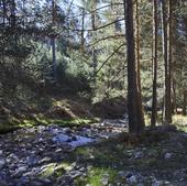 La bonita ruta de senderismo fácil y a una hora de Madrid perfecta para empezar el otoño