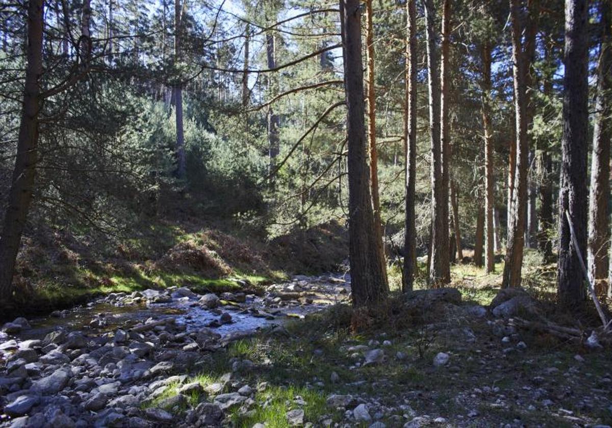 Dehesa y garganta del río Moros