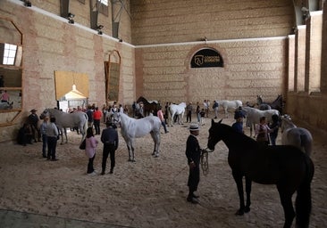 Cabalcor 2023 | Un patio de Córdoba para volver a la cultura del campo