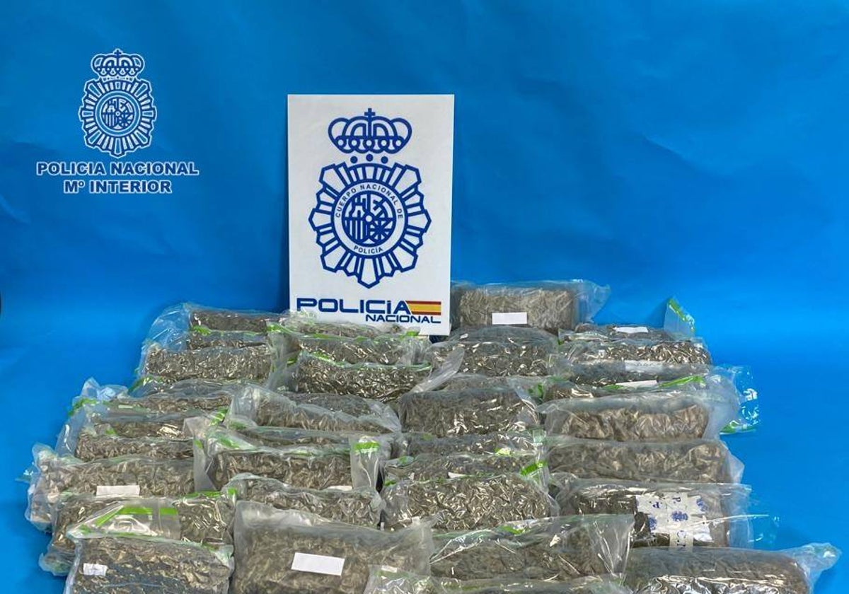 La marihuana estaba distribuida en 38 bolsas de plástico