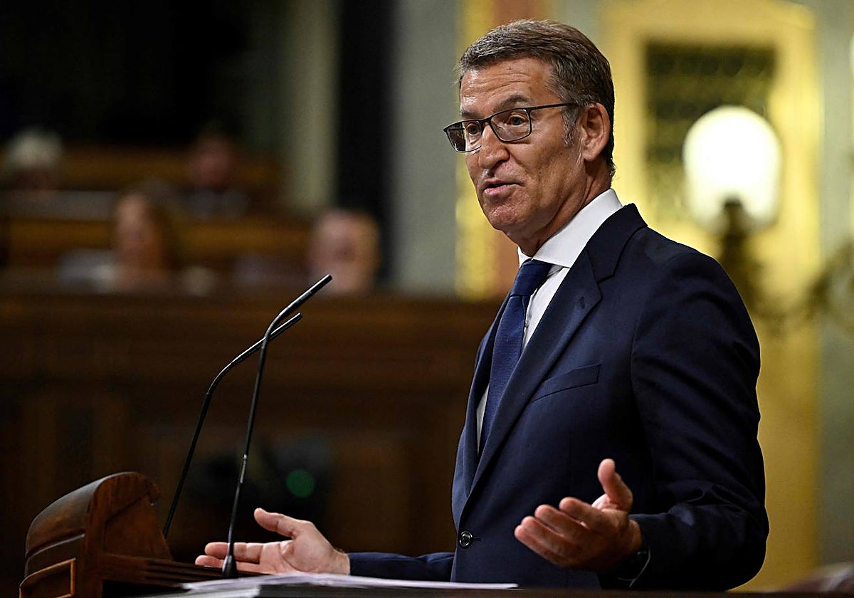 El presidente del PP y candidato a la presidencia del Gobierno, Alberto Núñez Feijóo se dirige al Congreso