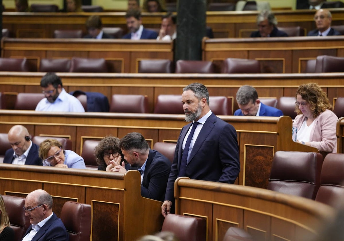 Santiago Abascal, líder de Vox, en el Congreso de los Diputados // Vídeo: Vox reclama al PP que desautorice a Sémper (EP)