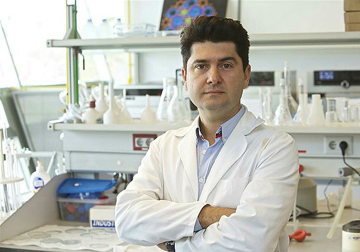 Imagen de Javier García Martínez difundida por la Universidad de Alicante.