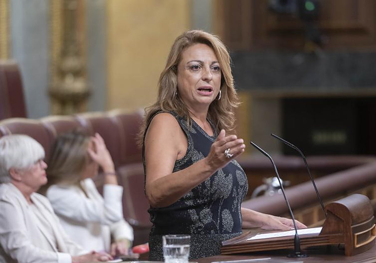 La diputada de Coalición Canaria (CC) en el Congreso, Cristina Valido, interviene durante el pleno de investidura del líder del Partido Popular, en el Congreso de los Diputados