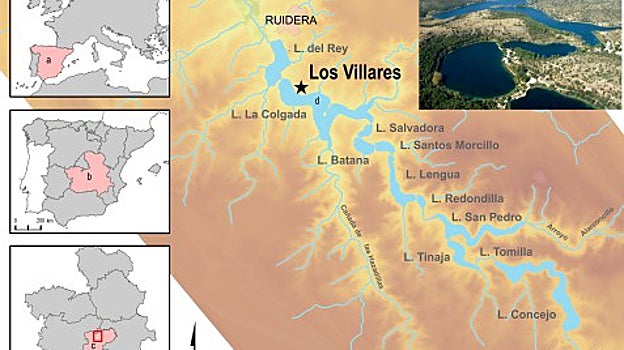 Asombroso hallazgo de más de mil fósiles del Pleistoceno en un yacimiento de Ciudad Real