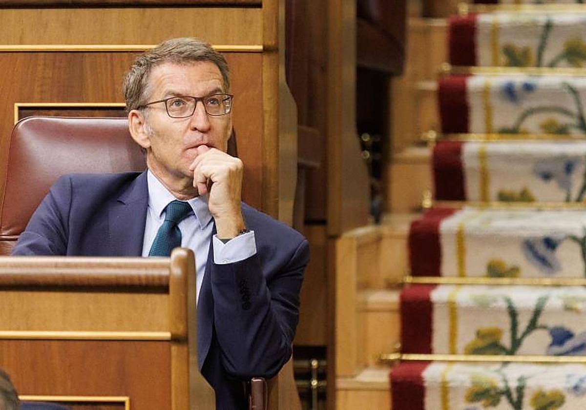 El presidente del PP, Alberto Núñez Feijóo