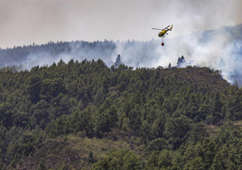 Nuevas reactivaciones en zonas de difícil acceso en el incendio de Tenerife