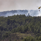 Nuevas reactivaciones en zonas de difícil acceso en el incendio de Tenerife