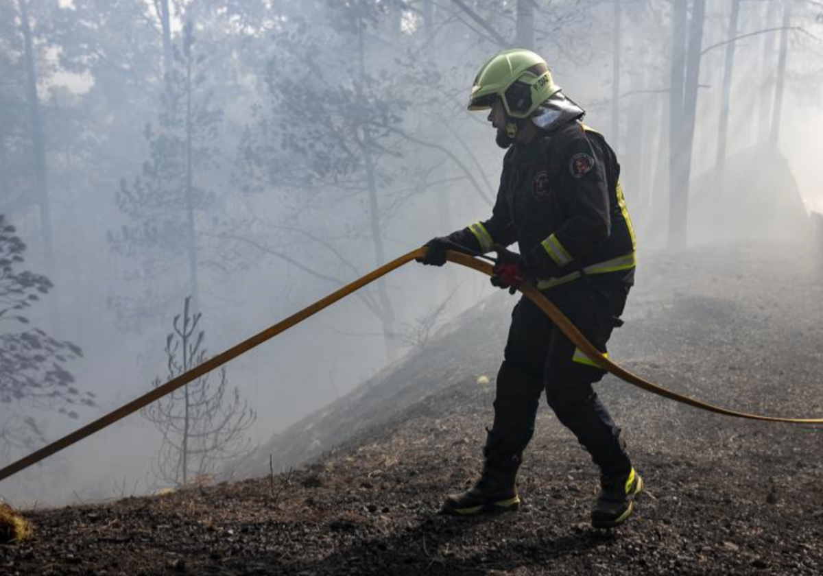 Un bombero trabaja en la extinción del fuego, en Las Lagunetas, a 22 de agosto, en La Esperanza, Tenerife