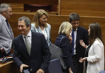 El Gobierno valenciano de PP y Vox se divide por primera vez al votar sobre violencia de género