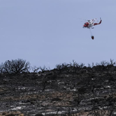 El fuego en Tenerife no quiere morir: «Esto no está ni mucho menos controlado»