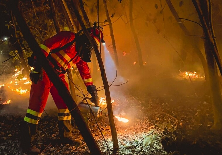 Tropas de la UME apagan un incendio forestal en Tenerife