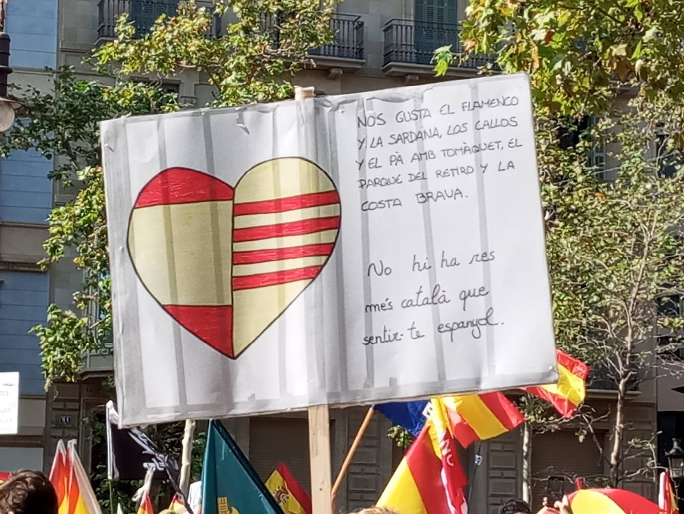 Las mejores pancartas de los manifestantes contra la amnistía