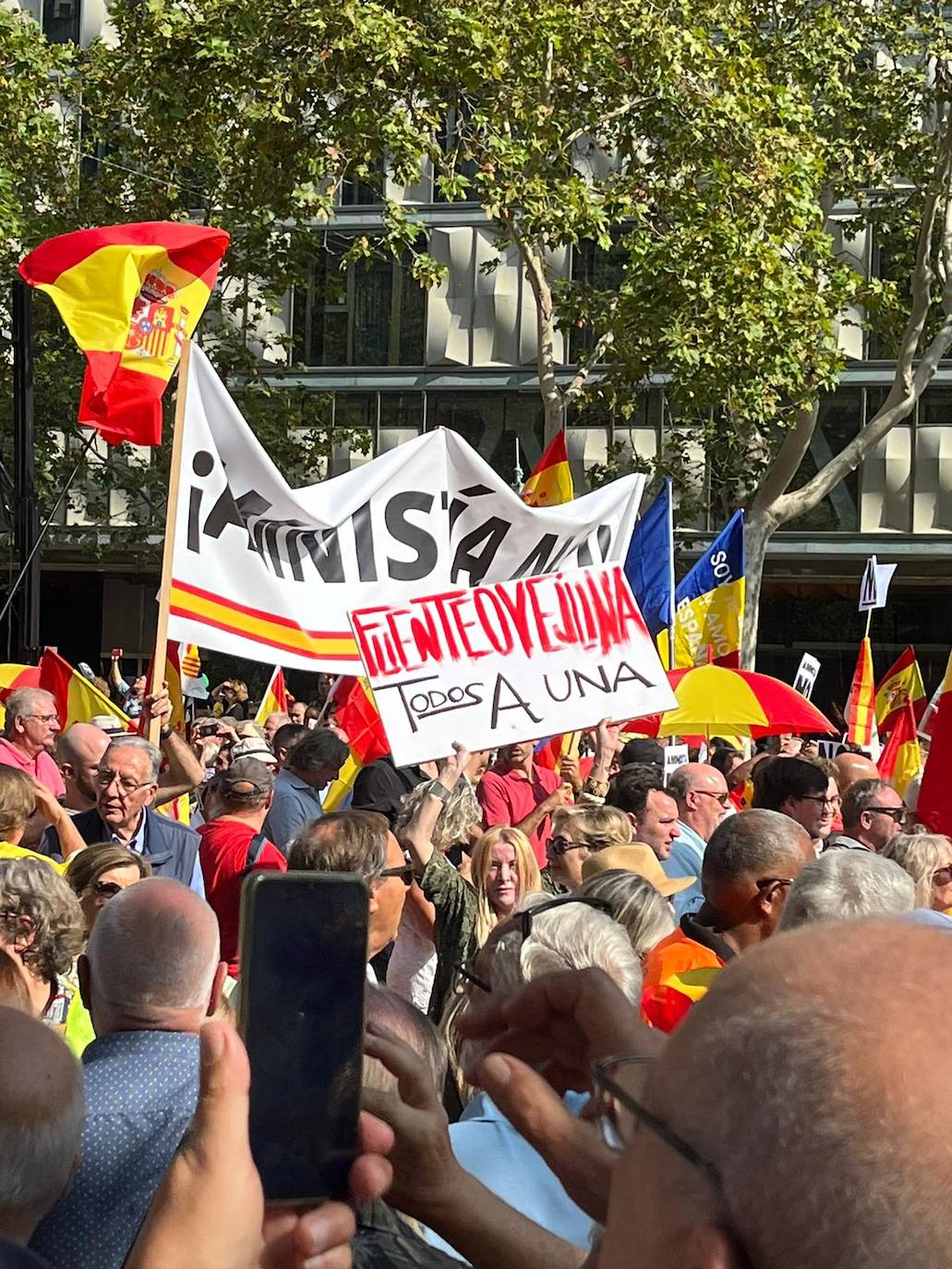 Las mejores pancartas de los manifestantes contra la amnistía