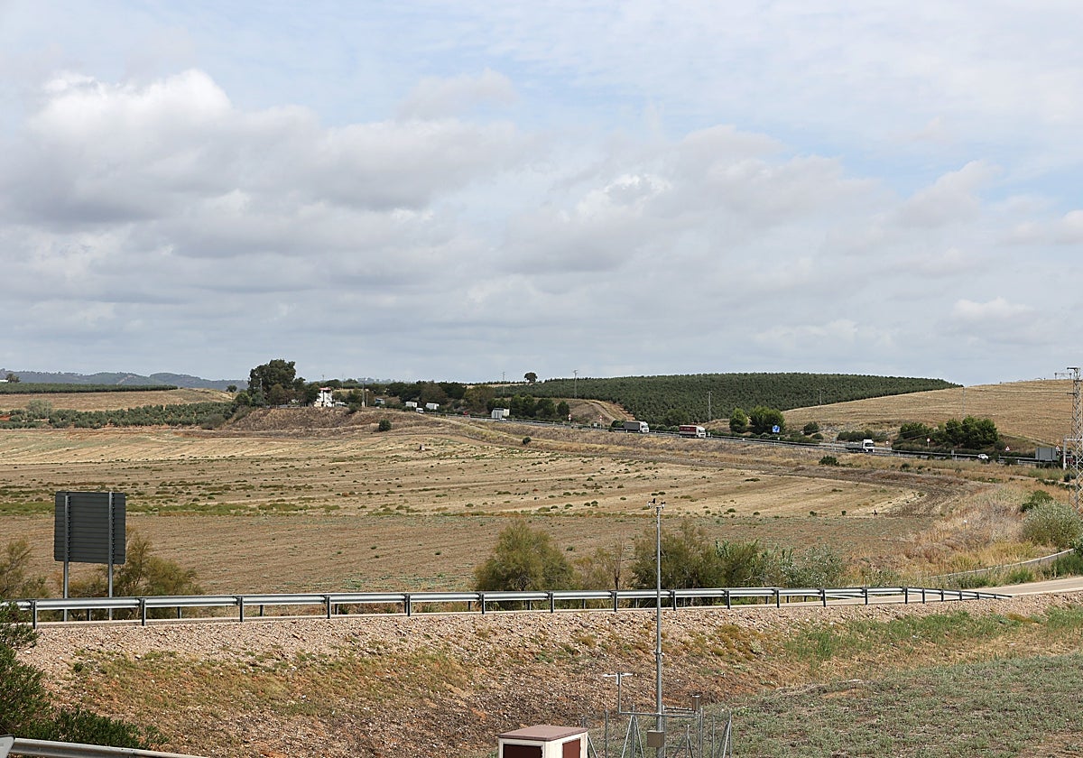 Terrenos de La Rinconada