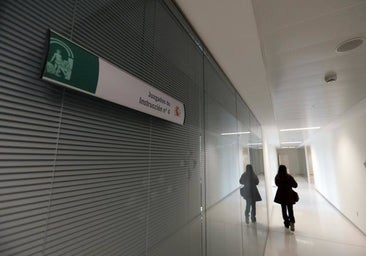 Caso Infraestructuras: La UDEF detiene a cinco empresarios y a un funcionario del Ayuntamiento de Córdoba