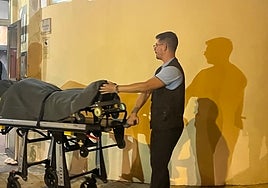 El asesino de Benalmádena tenía depresión y dos armas de caza a su nombre