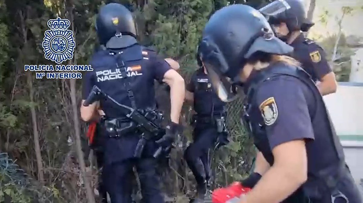 Agentes de la Policía Nacional en el momento de entrar en la plantación de marihuana en Altea.