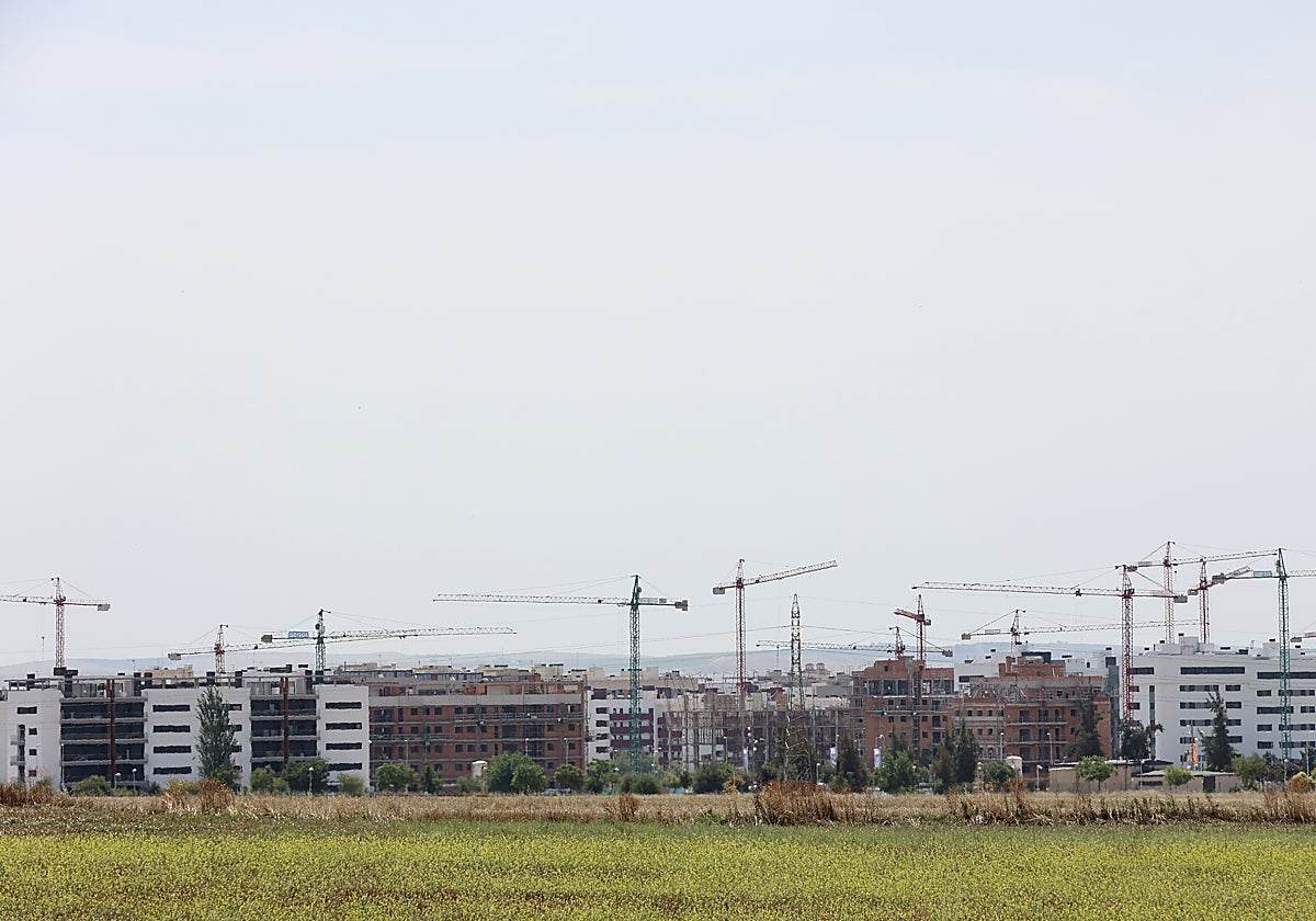 Viviendas en construcción en un plan urbanístico de Poniente, el Huerta de Santa Isabel