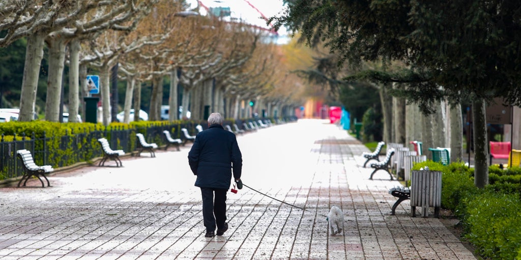 Se expone a una multa de hasta 750 euros por no recoger los excrementos de su perro