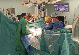 Operación pionera en España: el Hospital La Fe de Valencia realiza tres trasplantes bipulmonares a la vez