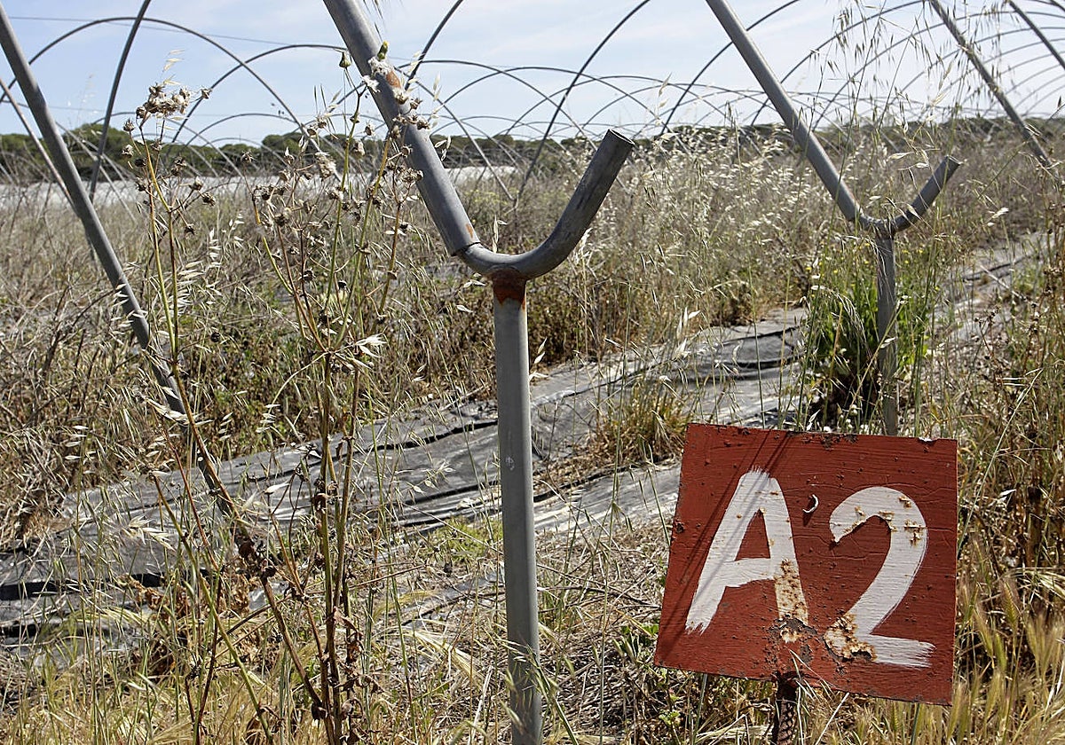 Una finca cercana a Doñana en una imagen de archivo