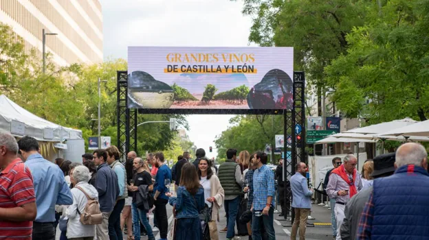 Los vinos de Castilla y León, protagonistas en Madrid