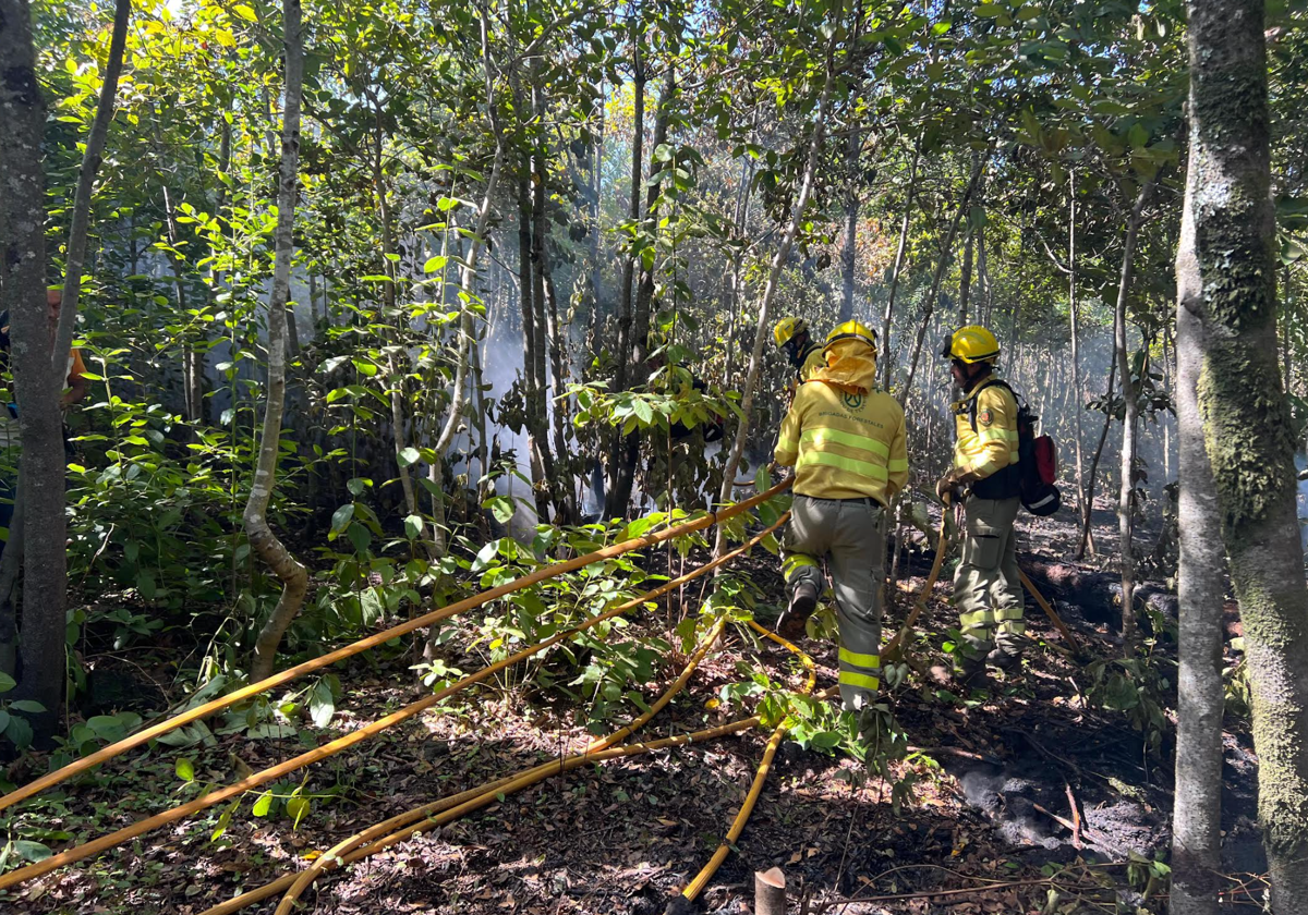 Brigadas forestales trabajan en la contención del fuego en Tenerife