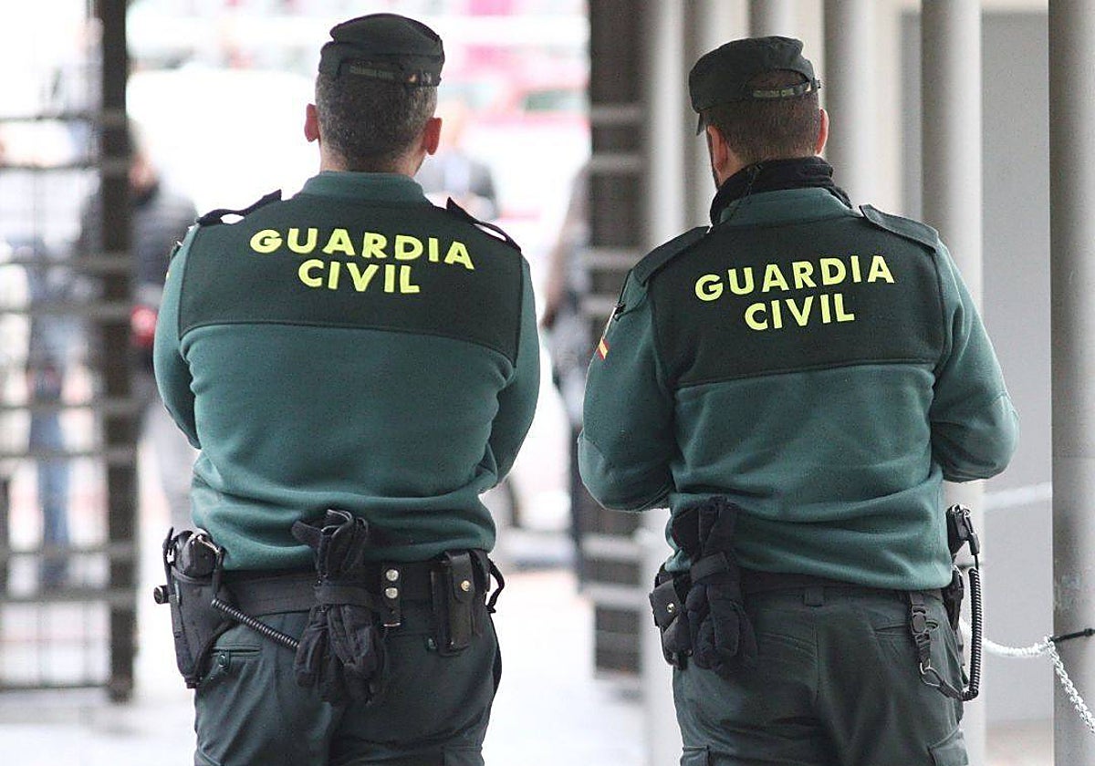 Gracias a la rápida actuación de la Guardia Civil y la Policía Local se encontró a los autores