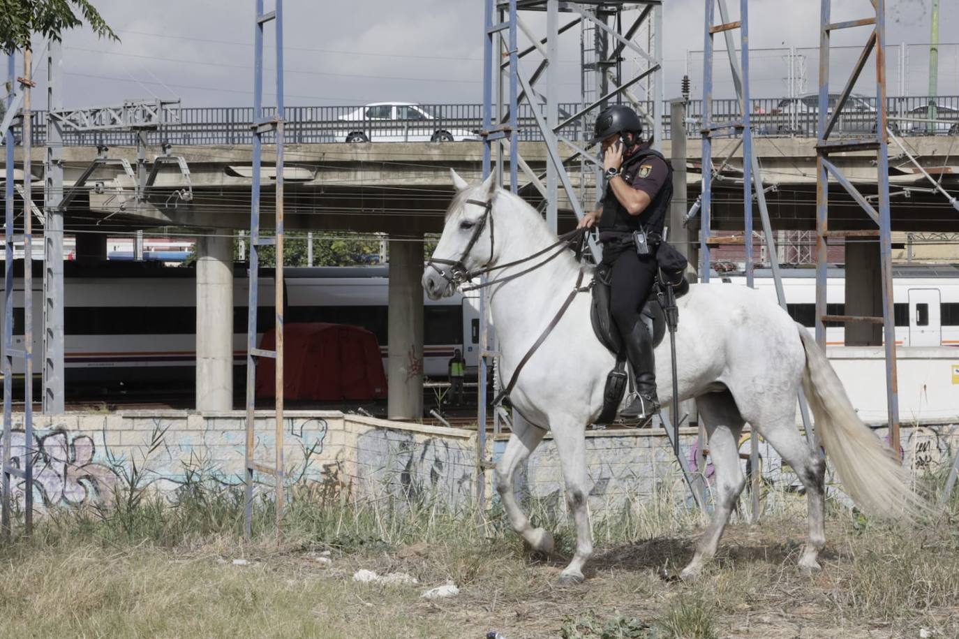 Aparece el cuerpo de Álvaro Prieto entre los vagones de un tren en Sevilla