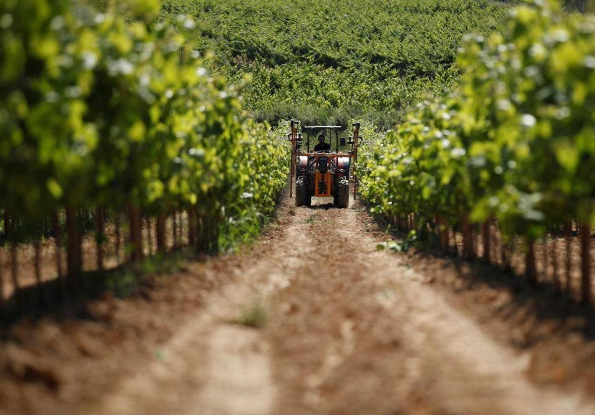 Un tractor trabajando en el campo