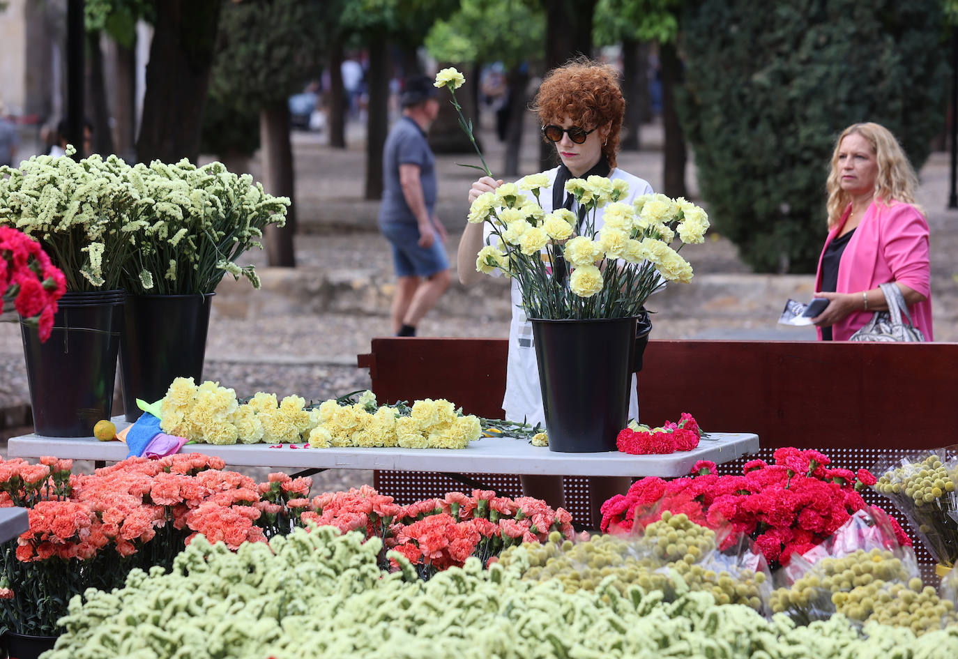 Fotos: Los últimos preparativos de Flora en Córdoba