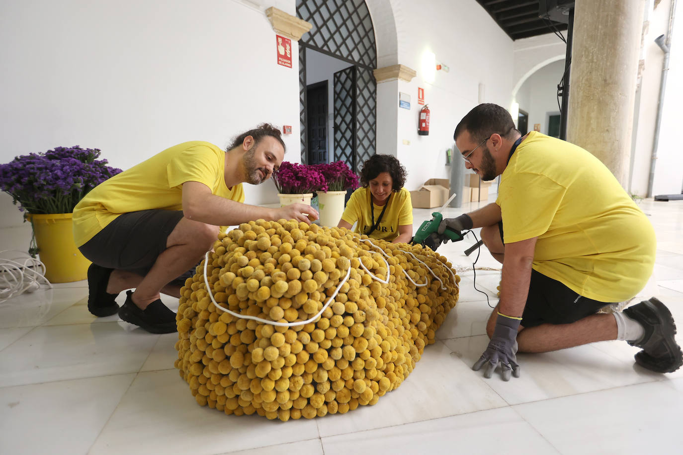 Fotos: Los últimos preparativos de Flora en Córdoba