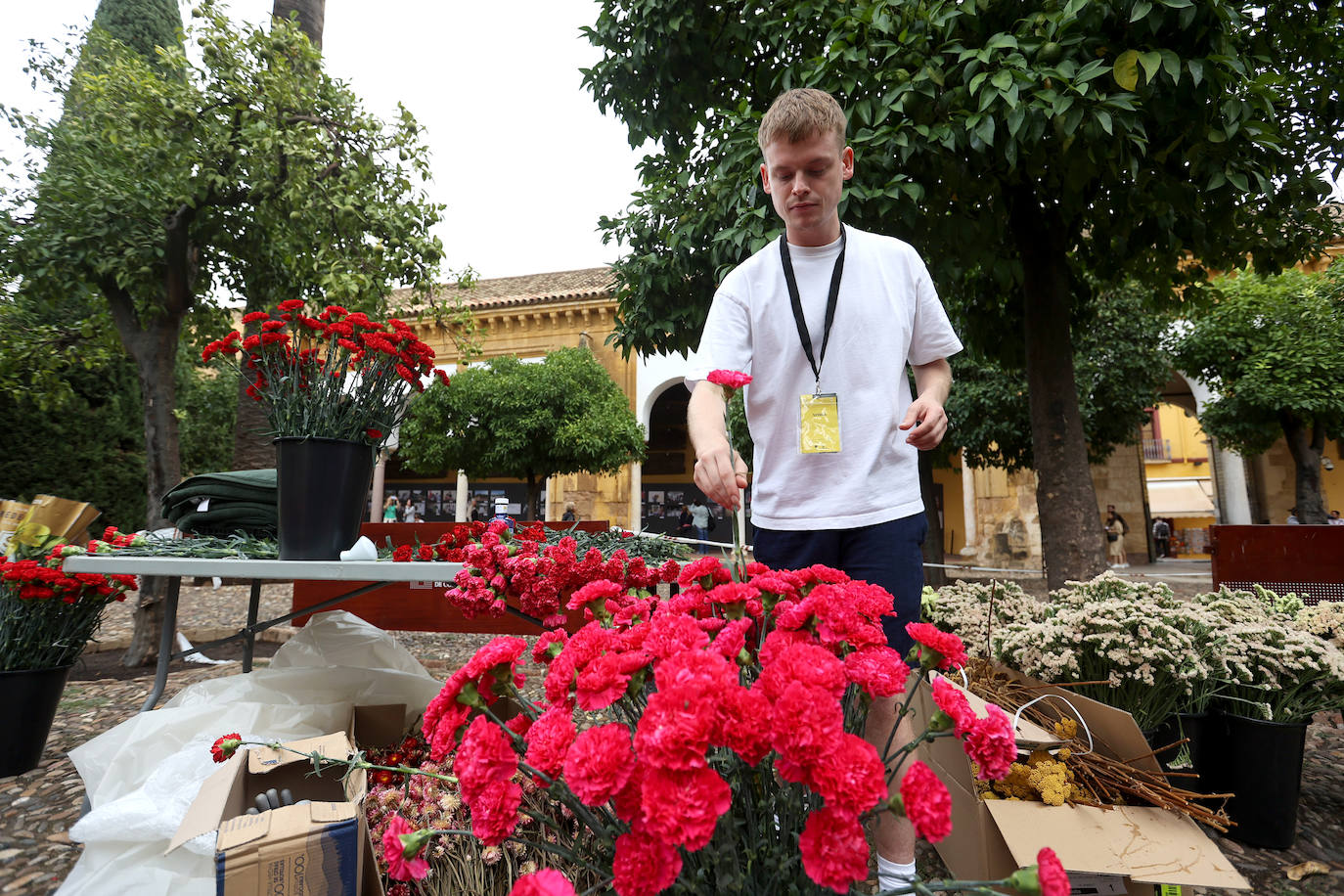 Fotos: Los últimos preparativos de Flora en Córdoba