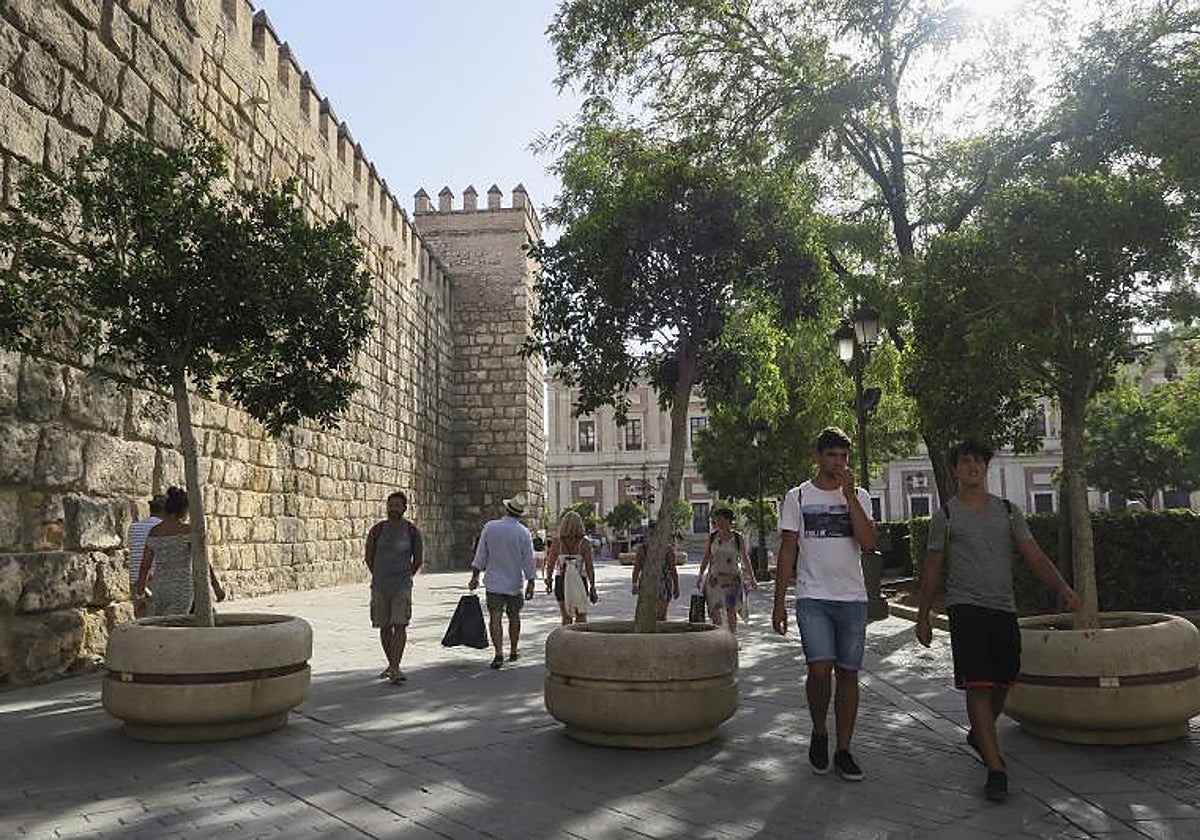 Los maceteros se colocaron por seguridad en la Plaza del Triunfo en 2017