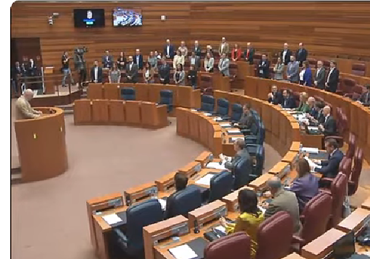 El pleno de las Cortes, este miércoles durante el minuto de silencio