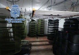Un sistema de cultivo de marihuana «de última vanguardia» en Alicante: desarticulan un clan familiar con 80 kilos de cogollos