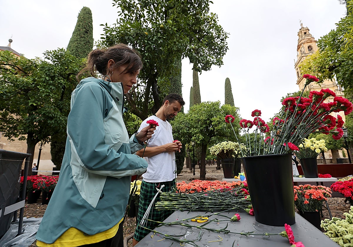 Preparativos de la instalación floral en el Patio de los Naranjos de Córdoba
