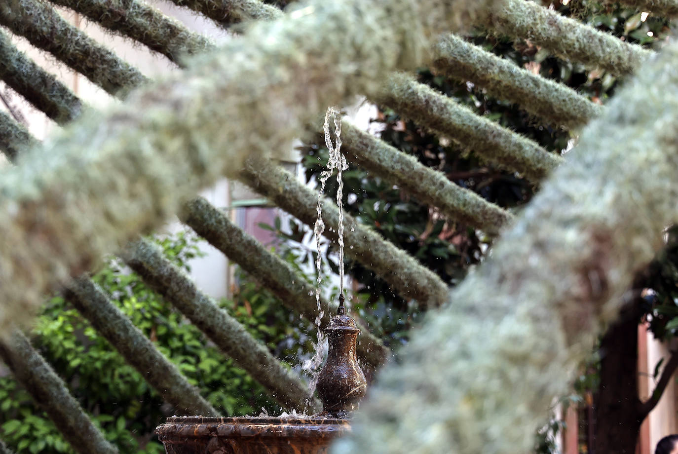 Fotos: las cinco propuestas artísticas de Flora