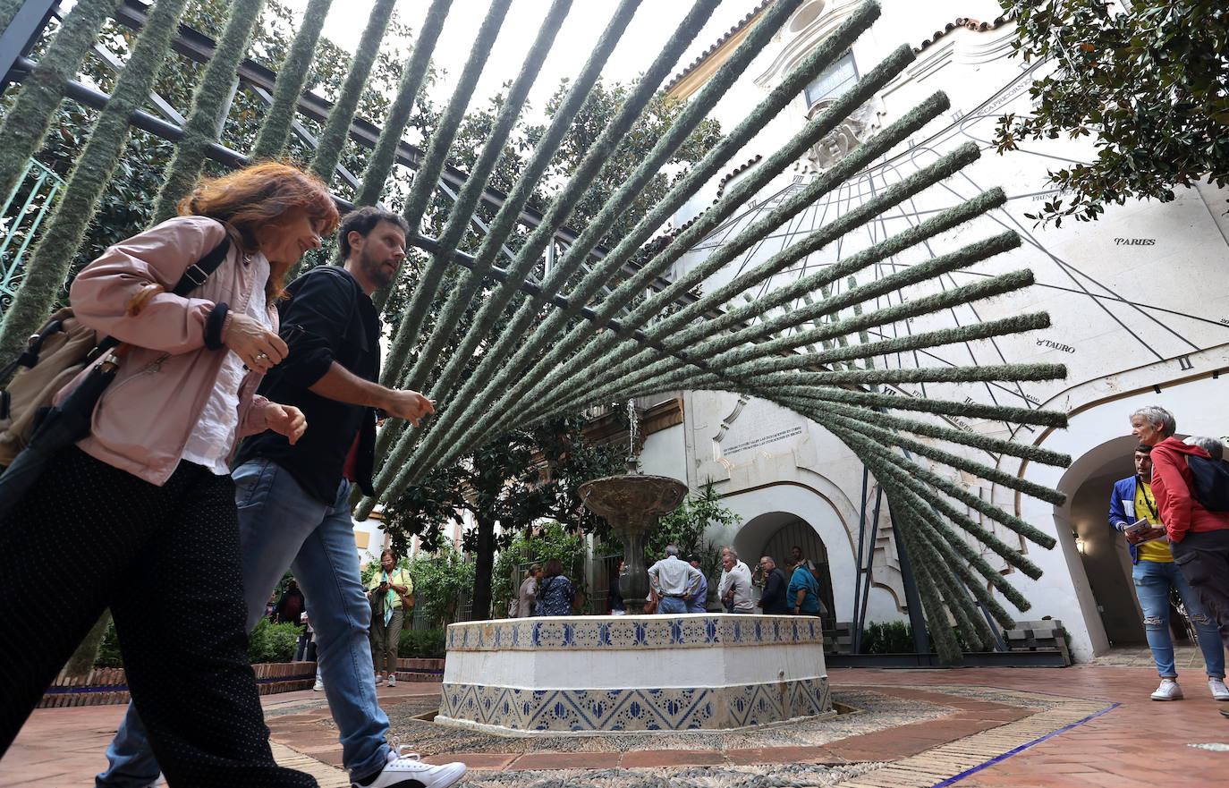 Fotos: las cinco propuestas artísticas de Flora