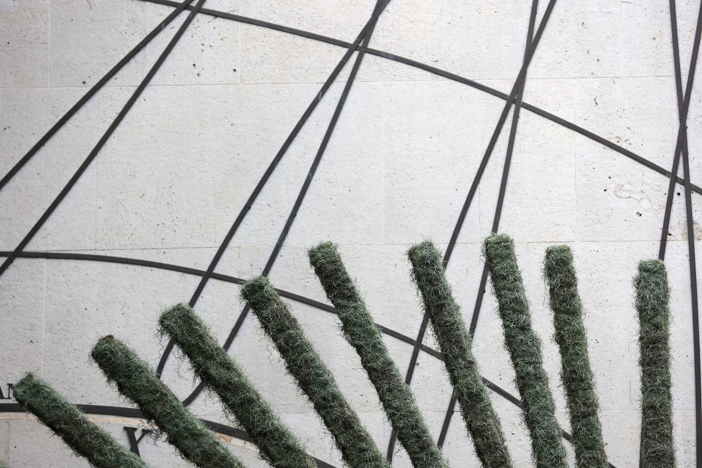 Fotos: las cinco propuestas artísticas de Flora