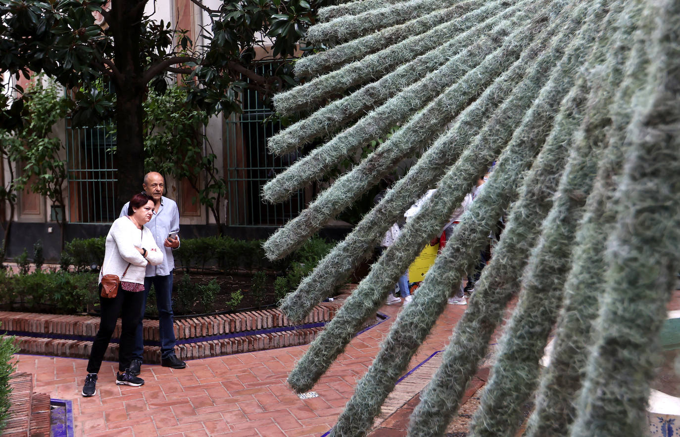 Fotos: las cinco propuestas artísticas de Flora