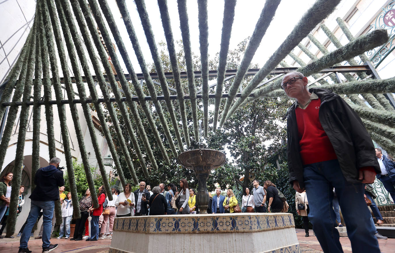 Fotos: las cinco propuestas artísticas de Flora