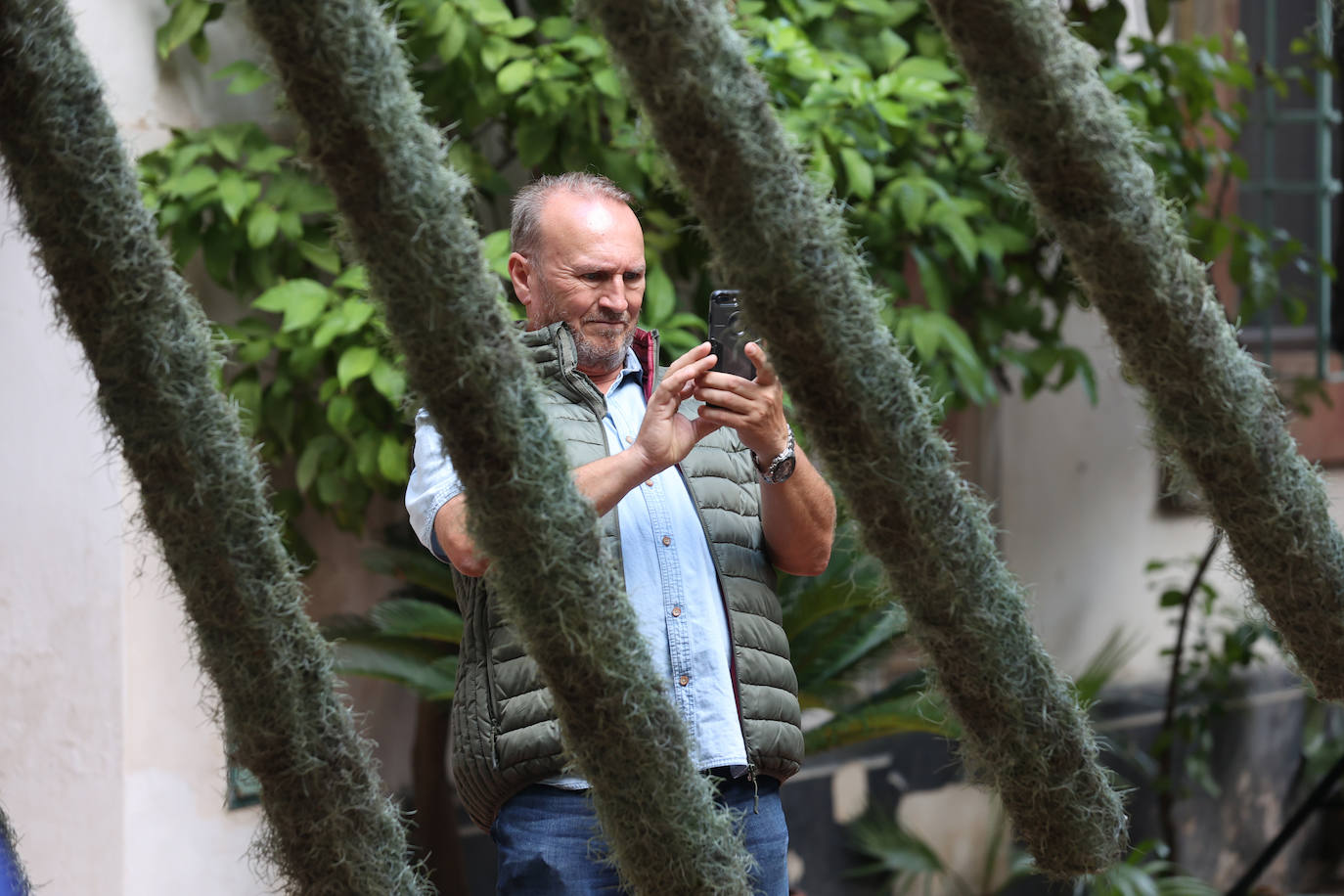 Fotos: las cinco propuestas artísticas de Flora